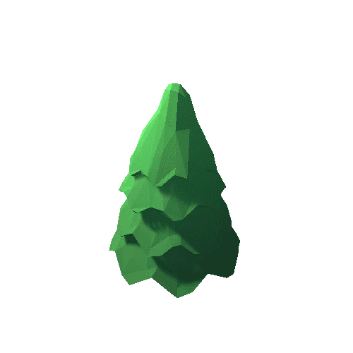 Fir Tree